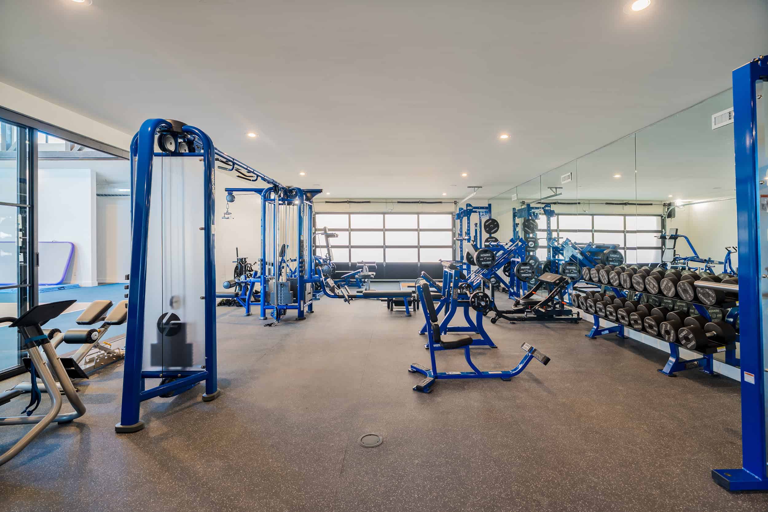 Bright, spacious home gym with blue weight machines and free weights in Park City.